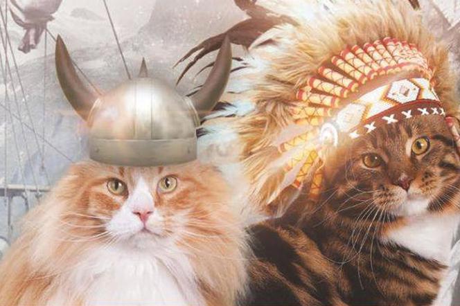 W Sopocie trwa Międzynarodowa Wystawa Kotów Rasowych!