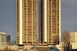 Trzonolinowiec Katowice