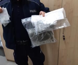 Nalot kryminalnych na działkę pod Toruniem. 27-latek odpowie za narkotyki