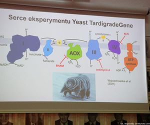 Konferencja dotycząca eksperymentu Yeast TardigradeGene