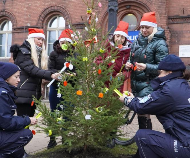 Pod Komendą Miejską Policji w Olsztynie stanęła oryginalna choinka. Każdy może ją "rozebrać" [ZDJĘCIA]