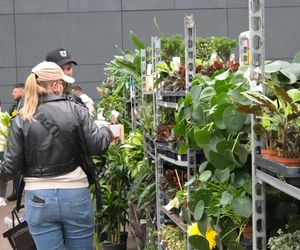 Festiwal Roślin znów zachwycił bydgoszczan! Setki gatunków i wyjątkowa atmosfera