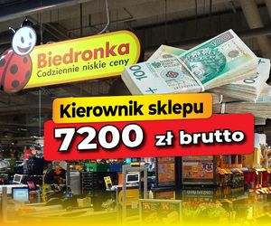 Zarobki w Biedronce