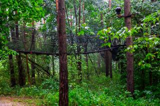 Spacer w koronach drzew Pomiechówek Park Doliny Wkry