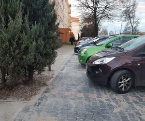 Parkingowy absurd na osiedlu Rejtana w Lesznie 