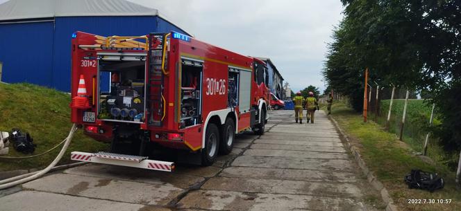 Potężny pożar niedaleko Lublina. Straty oszacowano na 12 mln zł