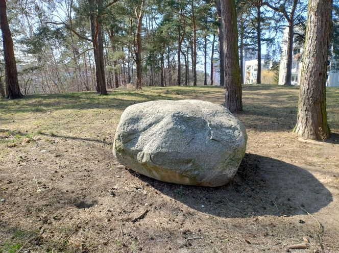 Nawiedzone miejsca. W Gdyni straszy Blady Józek. Duch małego chłopca pojawia się tu od 130. lat 