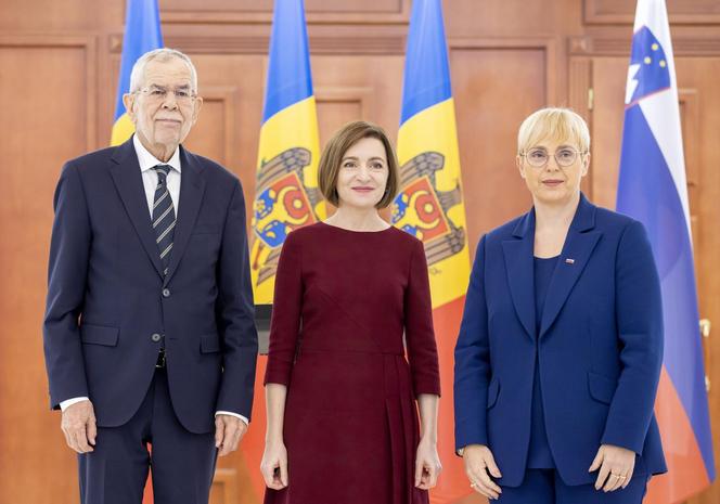 Pies prezydent Mołdawii pogryzł prezydenta Austrii! Skandal na salonach