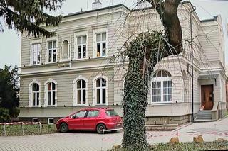 Podcięto drzewo, żeby spadło na dzieci