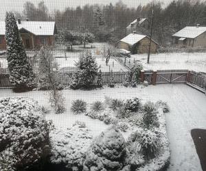 Szykujcie się na intensywne opady śniegu! W części woj. lubelskiego jest już biało! 