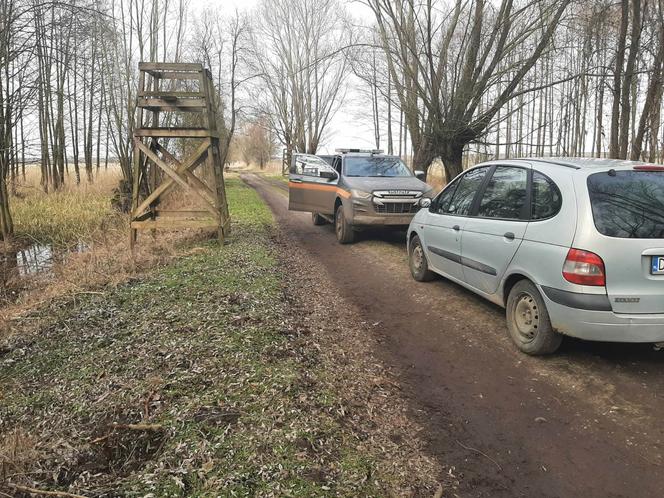 ​Prawie 80 sztuk amunicji miał przy sobie mężczyzna zatrzymany w lesie koło Leszna