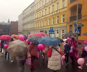 Marsz Różowej Wstążki w Szczecinie