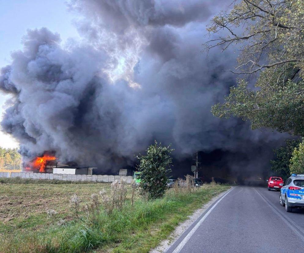 Pożar hali na Pomorzu. Z ogniem walczy 21 zastępów. Zablokowana jest droga