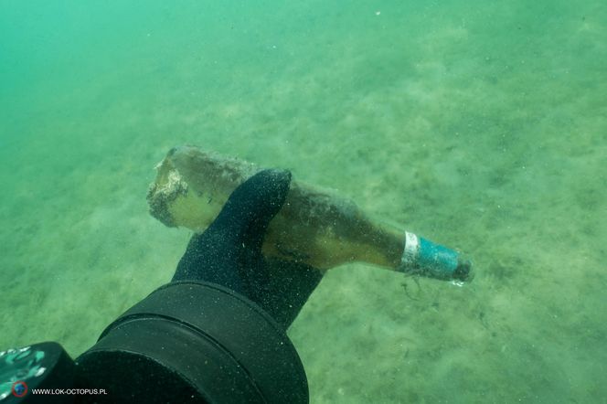 jezioro Tarnobrzeskie Niezwykła akcja płetwonurków