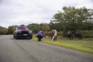 Zdjęcia z filmu Buddy!