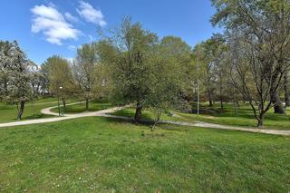 Jeden z najstarszych parków w Warszawie czeka modernizacja. Jasna deklaracja Rafała Trzaskowskiego