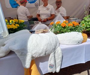 Było ... smacznie, gwarno i bardzo tłoczno! Za nami Ogólnopolski Festiwal Pasztetników i Potraw z Gęsi [ZDJĘCIA]