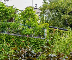 Willa Romualda Gutta na Kolonii Profesorskiej w Warszawie