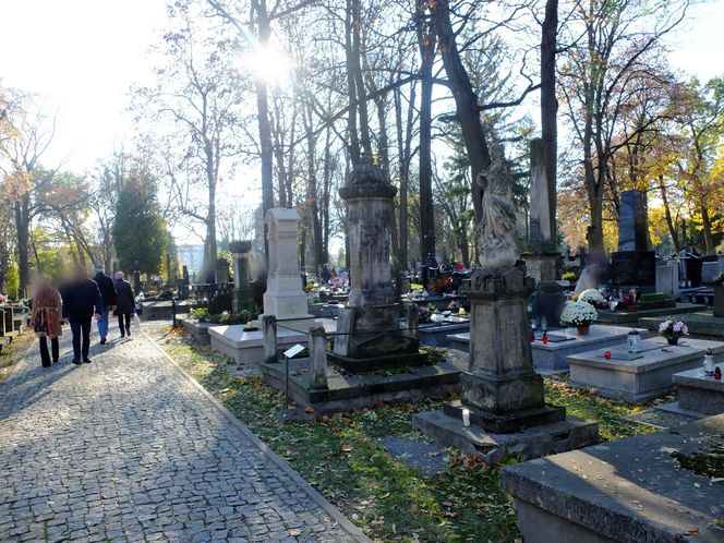  Lublin. Kwesta na cmentarzu przy ul. Lipowej. Czy we Wszystkich Świętych uda się pobić rekord? [ZDJĘCIA]