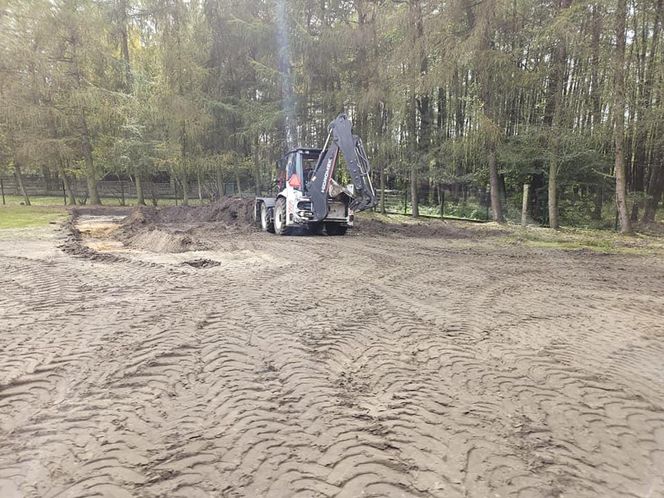 Nutrie w Rybniku są już odławiane