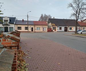 Godzinę od Warszawy leży „największy sad Europy”. To tu zabłądził sam król Kazimierz