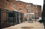 Rozmowa z Katarzyną Kogut z Chicago 