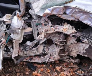 Skoda z dwiema osobami w środku uderzyła w drzewo. 4-letnie dziecko trafiło do szpitala