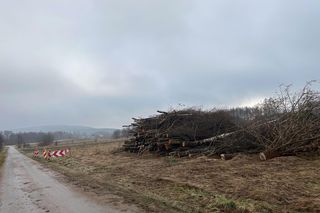 Przygotowania do budowy S74 Mniów - Kielce