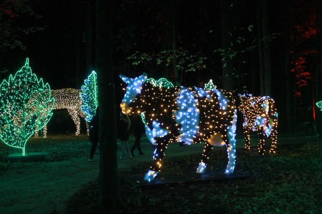 Byliśmy na otwarciu Lumina Park 2024 w Zamku Topacz