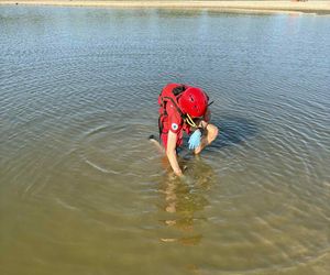 Makabryczne znalezisko nad Wisłą! Plażowicz wyłowił ludzką czaszkę