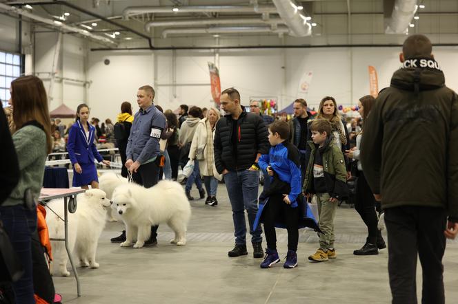 Międzynarodowa Wystawa Psów Rasowych w halach Targów Lublin