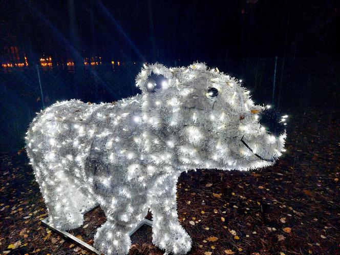 Spektakl światła, dźwięku i... ognia w Lumina Park w Bydgoszczy. Zobaczcie, jak tam magicznie!