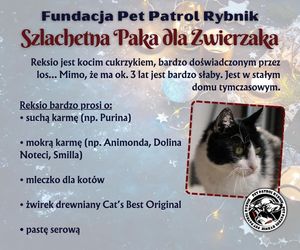 Pet Patrol Rybnik organizuje akcję Szlachetna Paka dla Zwierzaka 