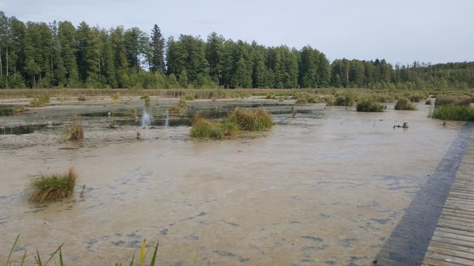 Zielone azyle na weekend. Gdzie na spotkanie z dziką naturą?