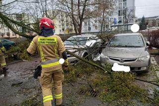 Drzewa na samochodach, zerwane dachy, brak prądu. Skutki wichury w Toruniu i okolicach