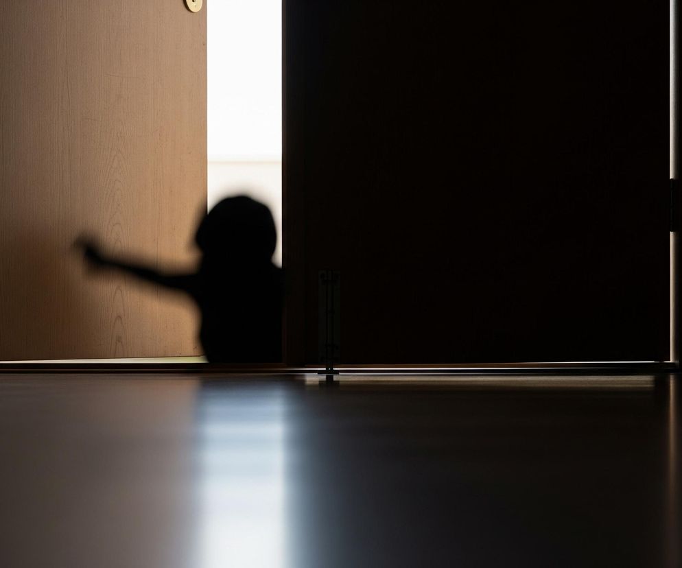 Półotwarte drzwi ukazują ciemną sylwetkę osoby, która wyciąga ramię w stronę prawej krawędzi kadru. Z lewej strony widać jasne, drewniane drzwi z okrągłym, złotym uchwytem u góry, a z prawej ciemne, niemal czarne, nieruchome drzwi. Pomiędzy nimi, od podłogi aż po niewidoczny sufit, przebija się jaskrawe, białe światło, tworząc pionowy pas kontrastu. Jasne światło odbija się od polerowanej powierzchni podłogi, tworząc rozmyte refleksy.