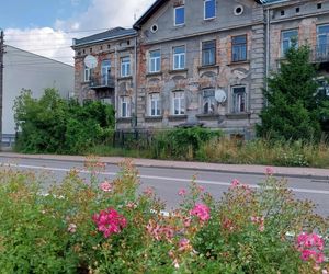 Kamienica Giepardów w Starachowicach