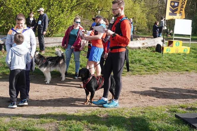 Dogtrekking w Poznaniu