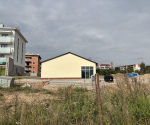 Dino w Sejnach