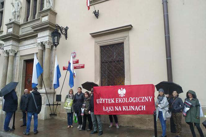 Co dalej z łąkami na Klinach? Nowa propozycja radnych budzi kontrowersje