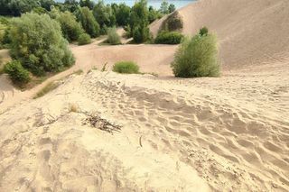   Małe Abu Zabi w woj. warmińsko-mazurskim. To miejsce wygląda jak prawdziwa pustynia!