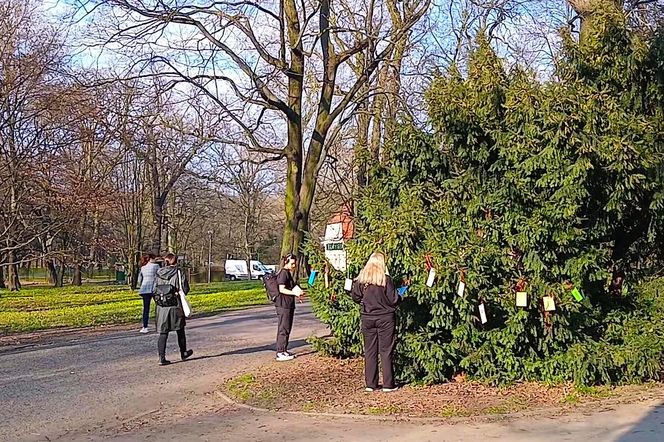 Światowy Dzień Poezji w Szczecinie