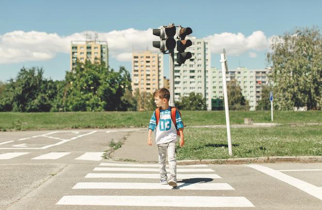 Zmiany w Prawie o ruchu drogowym w celu zwiększenia bezpieczeństwa