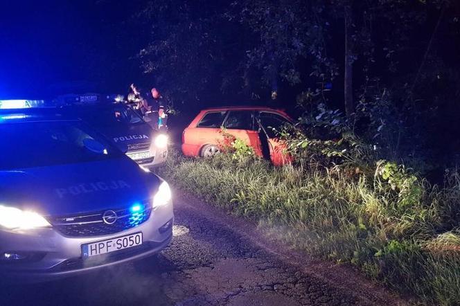 Na łuku audi wypadło z drogi i zatrzymało się w przydrożnym lesie, uszkadzając jednocześnie znak drogowy