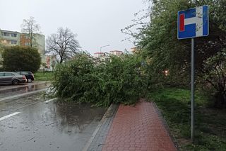 Burza w woj. lubelskim