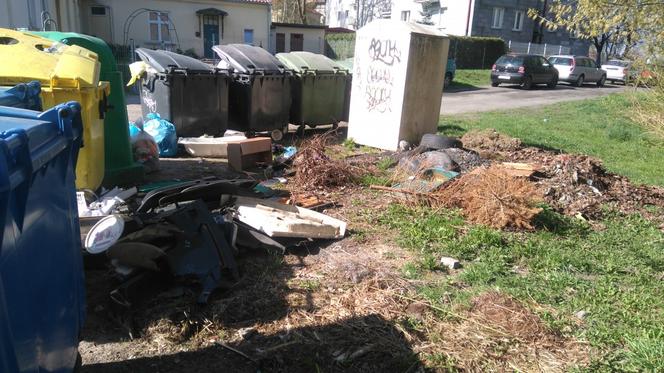 Wiosenny przegląd osiedli w Olsztynie nie taki jak zawsze. Pandemia krzyżuje plany