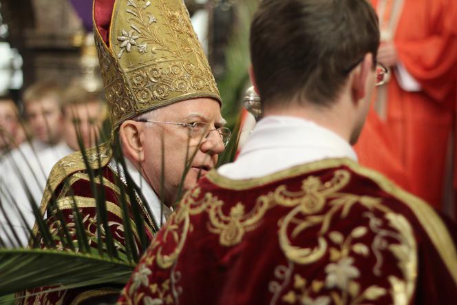 Abp. Jędraszewski Niedziela Palmowa