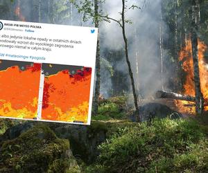 Najwyższy stopień zagrożenia pożarowego w lasach. Leśnicy apelują o ostrożność