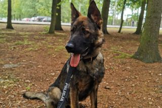 Policjanci i ich psy służbowe walczyli o tytuł! Kto okazał się najlepszy?