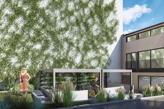 Fifna kamienica, wizualizacje